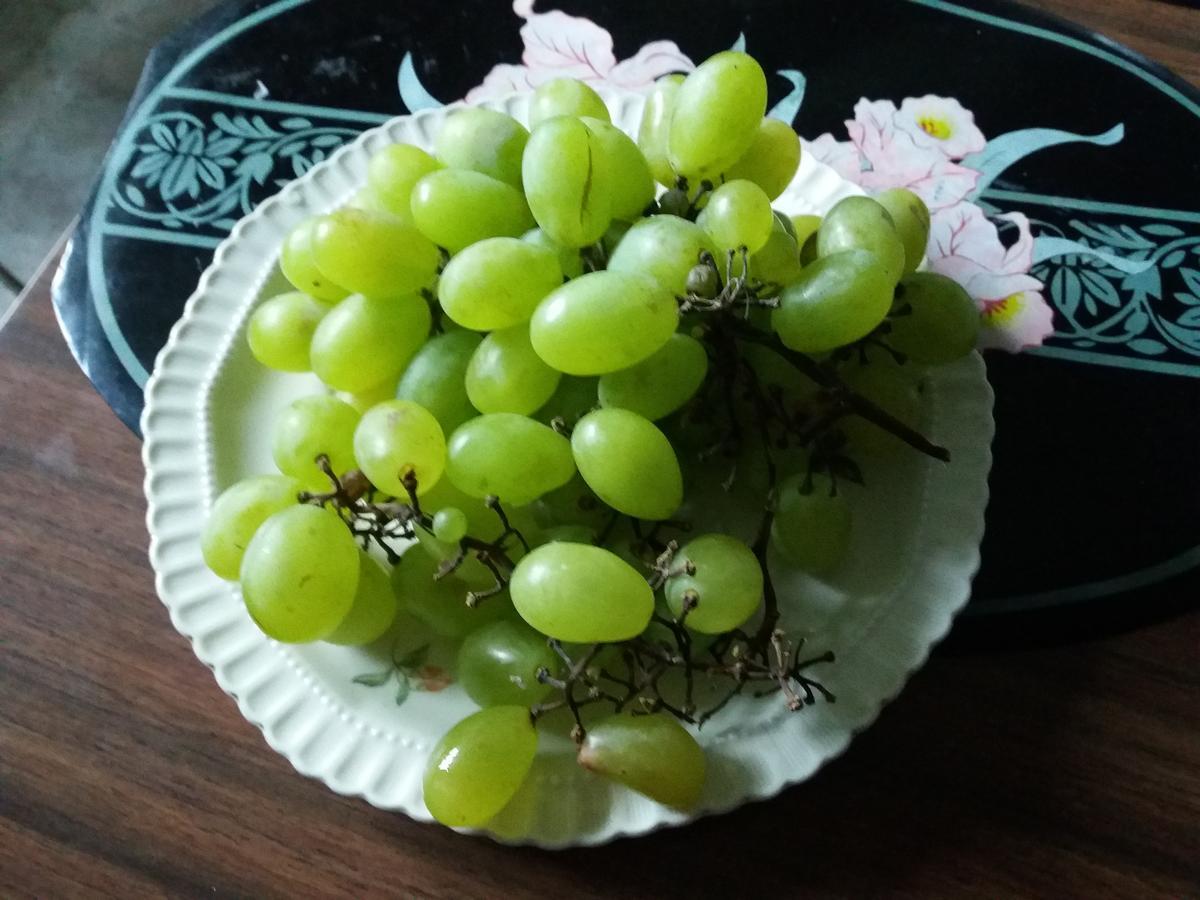Pashko Vasa Guesthouse Shkodër Buitenkant foto